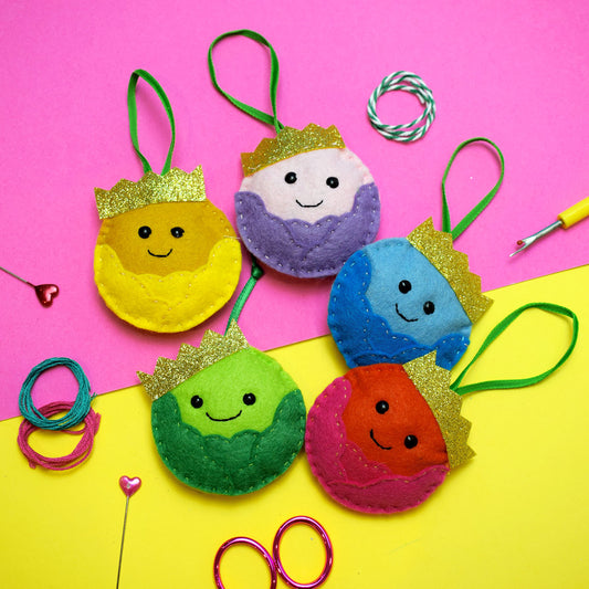 'Rainbow Sprout' Felt Decoration Set